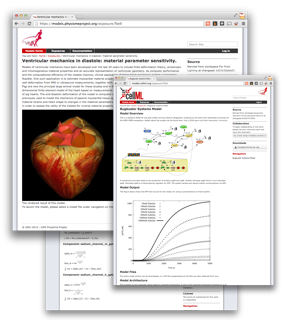 Examples from the Physiome Model Repository.